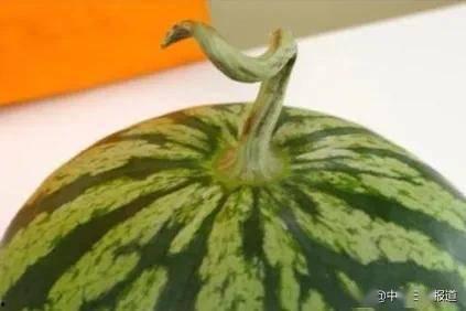 黑料吃瓜网apk普通安装 