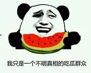 迷你吃鸡射击 