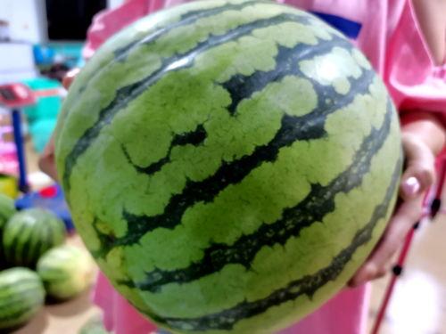 黑料吃瓜网apk普通安装 