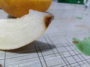 哈密瓜影视 