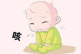黑料吃瓜网apk普通安装 