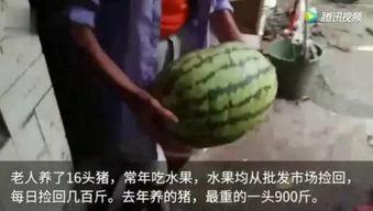 天使之翼2各种版本下载 