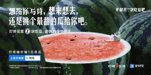 多抓鱼二手书交易平台 